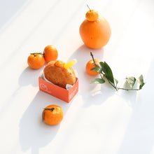 Load image into Gallery viewer, Orange Marmalade Jam
